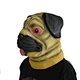 animal mask