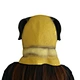 animal mask